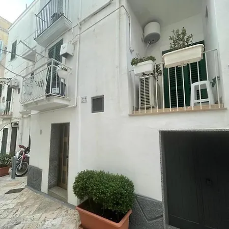 Melu Home. Monopoli